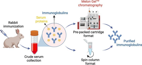 1765527374556786.png 7392dee3-14af-41b8-af87-bec7c956a908.png