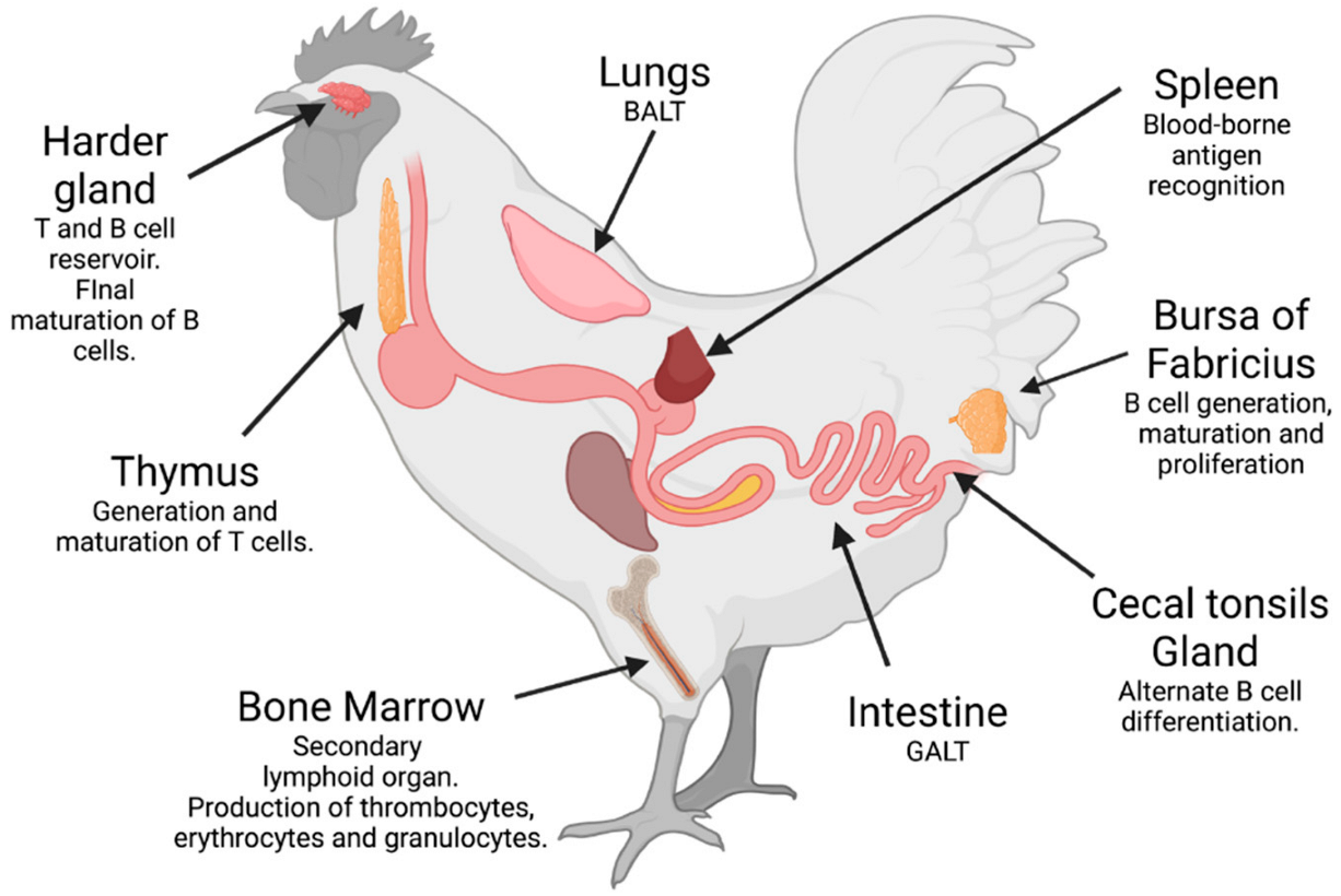 1772758346190544.png 图片10.png