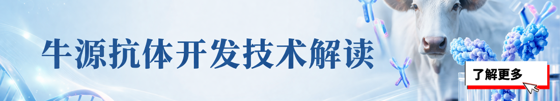 牛源抗体开发技术解读