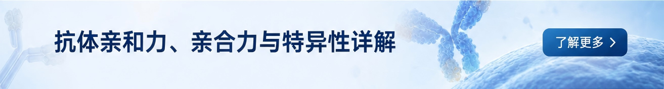 点击获取报价，了解更多