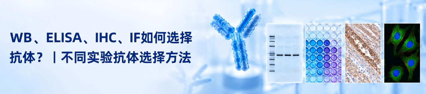 点击了解更多