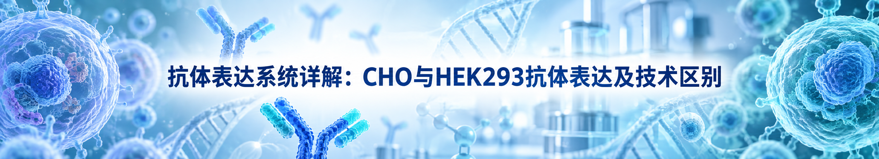 抗体表达系统详解：CHO与HEK293抗体表达及技术区别