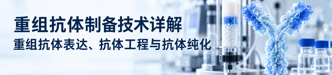 重组抗体制备技术详解