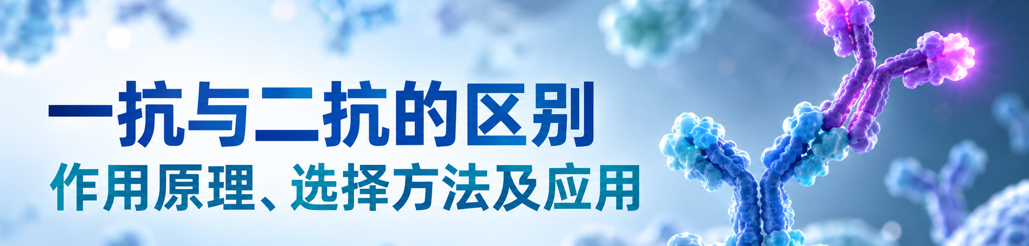 一抗与二抗的区别
